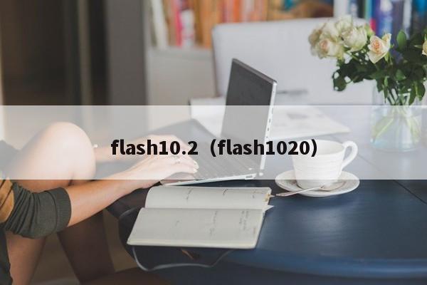 flash10.2（flash1020）